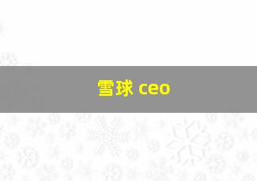 雪球 ceo